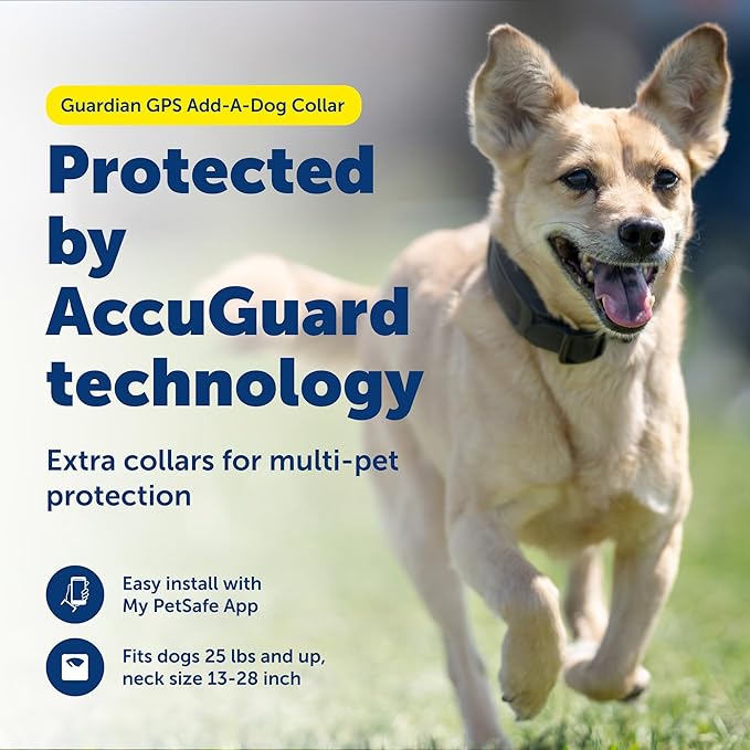 PetSafe Guardian GPS Connected Customizable Fence Add-A-Dog Collar - Rechargeable & Waterproof Adjustable Receiver Collar for GPS Fence - for Dogs 5lb+