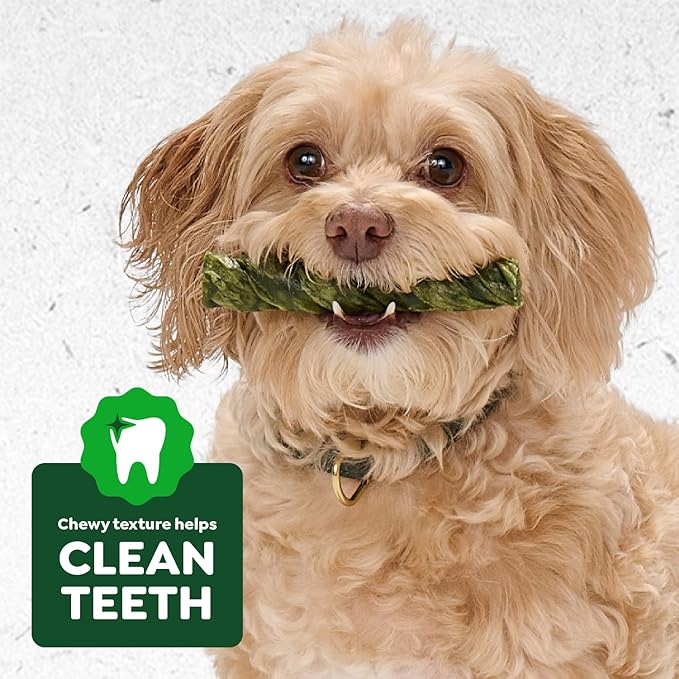 Greenies Occupy Twists Natural Dog Treats Petite