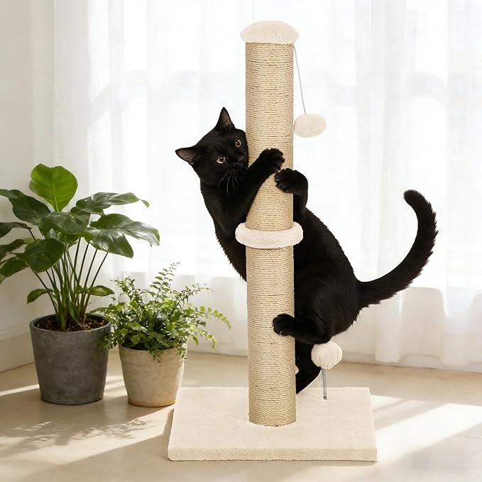 22 Inch Cat Scratching Post Cat Scratcher, Natural Sisal Rope Scratch Post Trees with Hanging Ball for Indoor Kittens