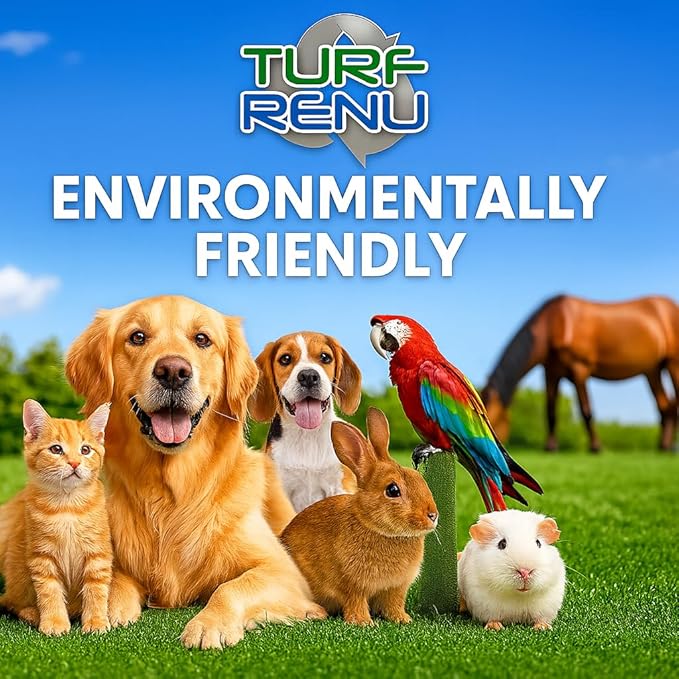 Tr10101 Bio-Enzymatic Cleaning Solution for Synthetic/Artificial Turf and Pet Odor Control, 1-Gallon