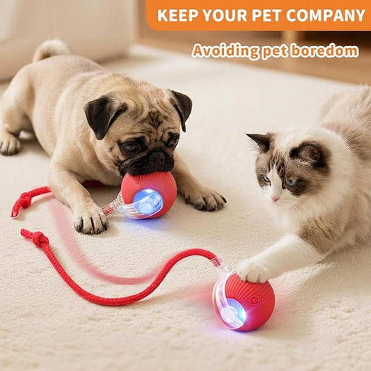 Interactive Cat Toys for Indoor Cats Smart Automatic Ball Rolling for Bored Kitten Pet Upgraded Speedy Moving Chase Dogs Toy Valentine's Day Gift Red