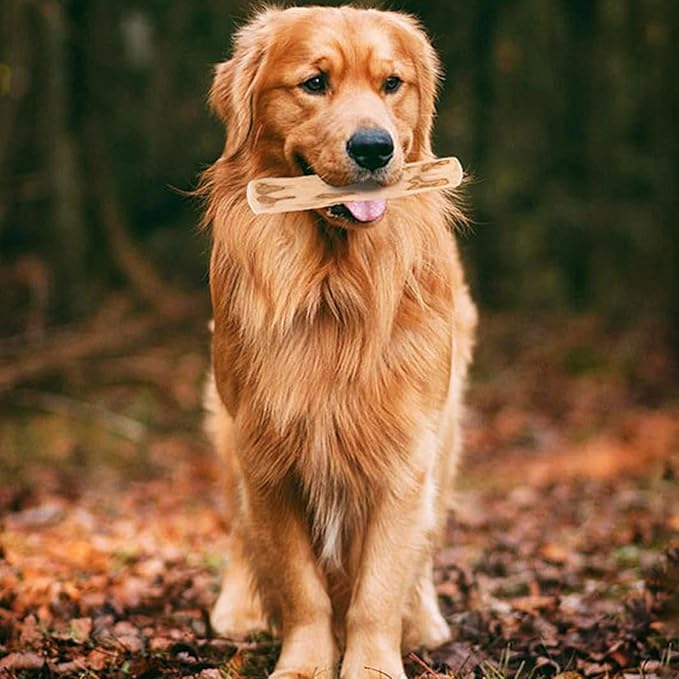 Natural Coffee Wood Dog Chew Toy Large 𝐷𝑢𝑟𝑎𝑏𝑙𝑒 Teething Stick for Puppies Aggressive Chewers Dental Clean Teeth Low Calorie Stress Relief Pet Supplies