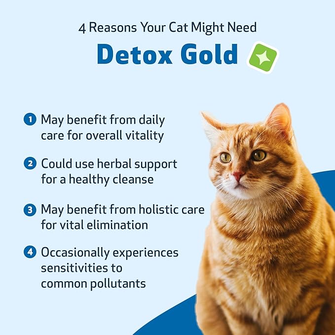 Pet Wellbeing Detox Gold for Cats - Supports Natural Vitality & Maintains Overall Wellness with Nettle, Blessed Thistle, Burdock Root - Veterinarian-Formulated Herbal Supplement 2 oz (59 ml)