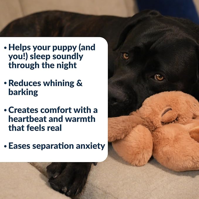 Snuggle Puppy Original for Large Breeds - Heartbeat Puppy for Dogs - Pet Anxiety Relief and Calming Aid - Comfort Dog Toy - Behavioral Training and Sleep Aid Cuddle Buddy - Biscuit