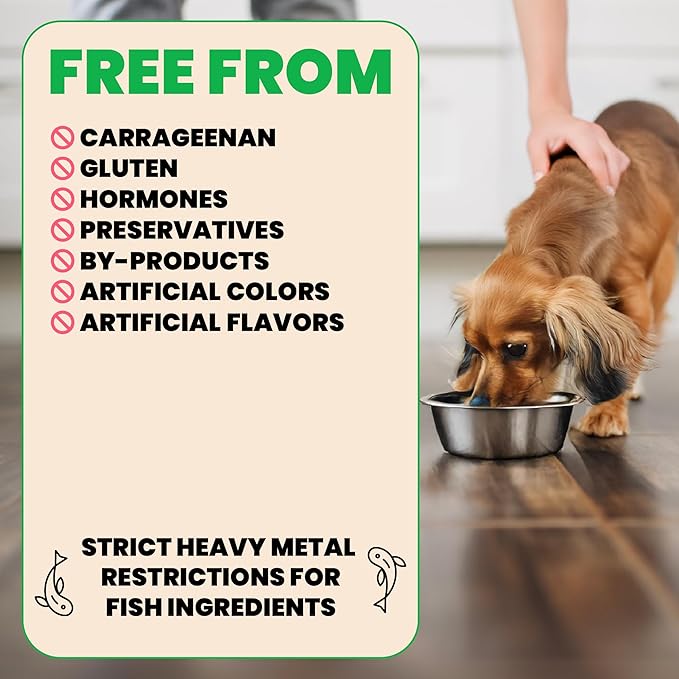 almo nature HQS Natural Chicken and Tuna Entree with Vegetables in Broth, Gluten Free, Additive Free, Adult Dog Canned Wet Food, Shredded 12 x 280g/9.87 oz