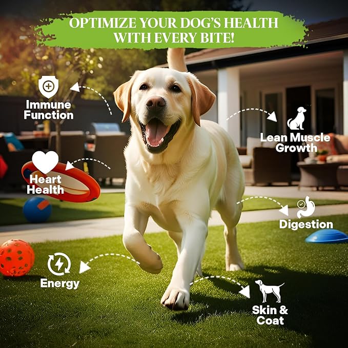 Healthy Dogma Premium Dog Care Bundle | PetMix Original 2lbs Dehydrated Dog Food & Whole Elk Antler Chew | Supports Nutrition, Joint Health & Long-Lasting Chewing Satisfaction