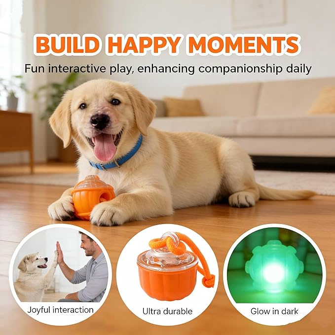 Smart Interactive Cats Toy Ball, USB Rechargeable Automatic Rolling Moving Ball for for Small & Medium Dogs, Durable Cat Teaser Toy with Chewing Rope, Indoor Exercise Toy for Kittens Cats