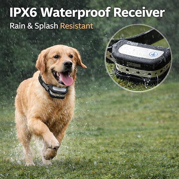 Wireless Dog Fence System for 2 Dogs, Electric Dog Fence with LCD Screen, Adjustable Warning Strength, Range 50-999ft, Rechargeable Wireless Pet Fence, Dog Perimeter Collar