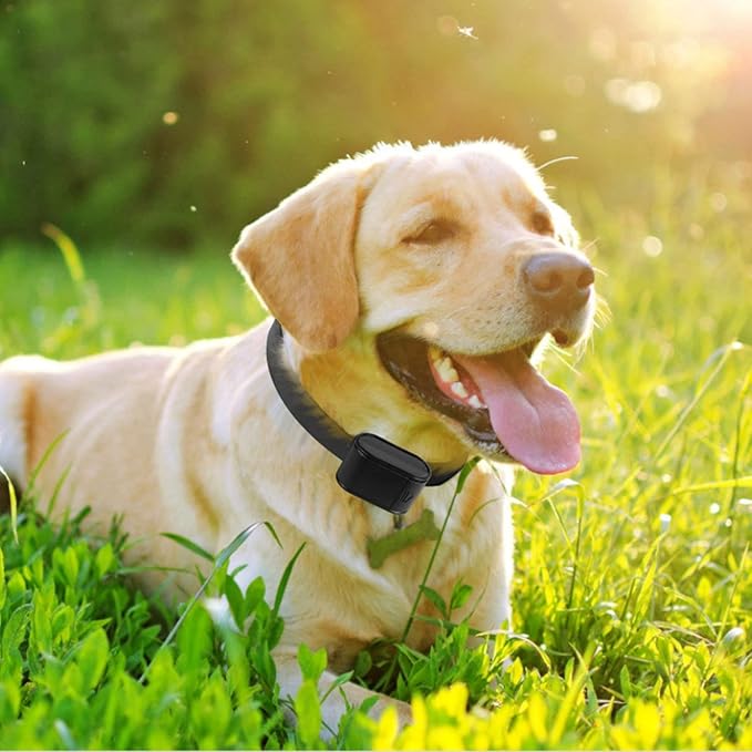Moclever Electric Wireless Dog Fence Receiver Collar, Covers 1.2 Acre Pet Boundary Containment System, Tone Shock Waterproof, Buried 984 FT Wire for Small Medium Large Dogs