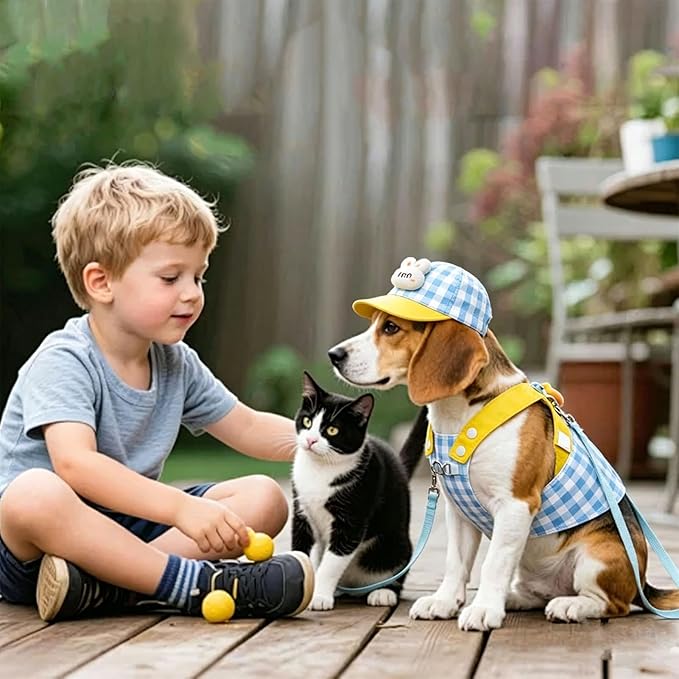 Pet Harness, Comfortable Accessory Kit with Hat – Harness and Traction Leash Set for Puppies – for Small Medium Large Puppies Daily Walk Outdoor Activities Running Shopping