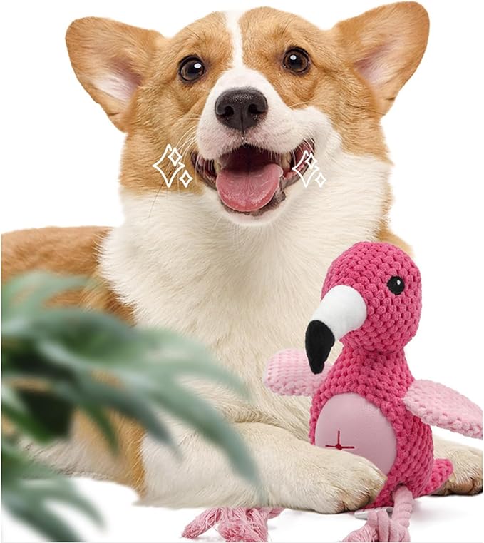 Pet Dog Chew Squeak Toy Teeth Chew Chews-Resistant Interactively Sound Teeth Training Supply Pet Durability Chewing