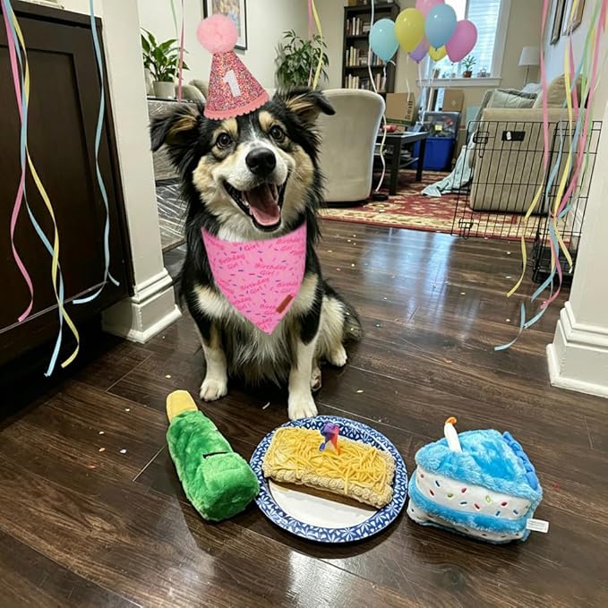 PTDECOR Dog Birthday Party Supplies, Pink Birthday Girl Bandana, Glitter Dog Birthday Hat with Numbers for Medium Large Dogs Pets (Large)