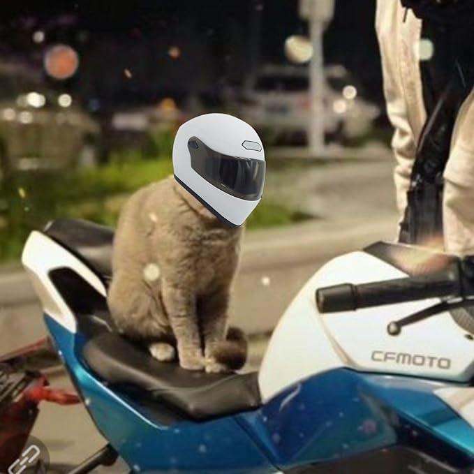 Pet Motorcycle Helmet Dog/Cat Full Face Motorcycle Helmet Outdoor Motorcycle Bike Riding Helmet Hat for Cat Dog Doggie Puppy Kitten Pet Supplies Racing Car Fan Collectible Small Gift (White)