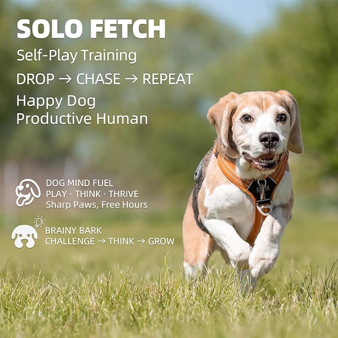Automatic Dog Ball Launcher-Small Silent Dog Ball Thrower, 3 Adjustable Distances (20ft/33ft/46ft), Rechargable,Includes 3 Durable 2.3" Balls for Small/Medium Dogs (Blue, Medium)