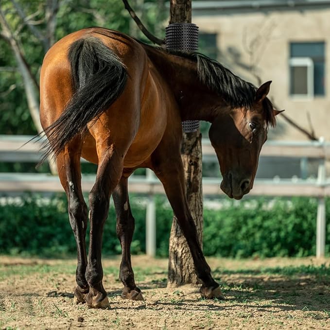 2 pcs Horse Cattle Scratchers, Horse Scratching Post, Super Soft Massage Brush Kit for Equine Bovine, Scratching Itch Relief Pad for Small Farm Animal Goat Sheep Cow Dog