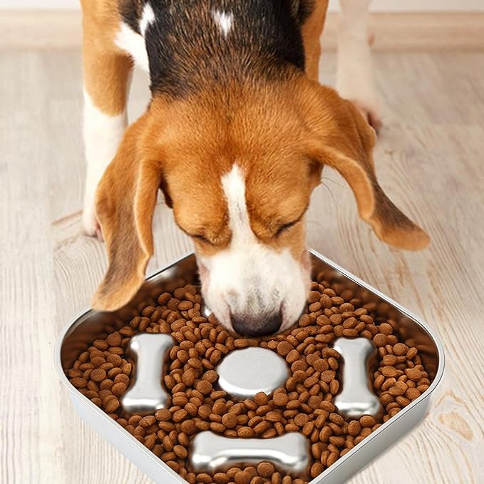 Genérico Slow Food for Dogs, Stainless Steel Pet Supplies - Puzzle for Dogs and Cats - for Wet and Dry Food, Indoor and Outdoor Use, for