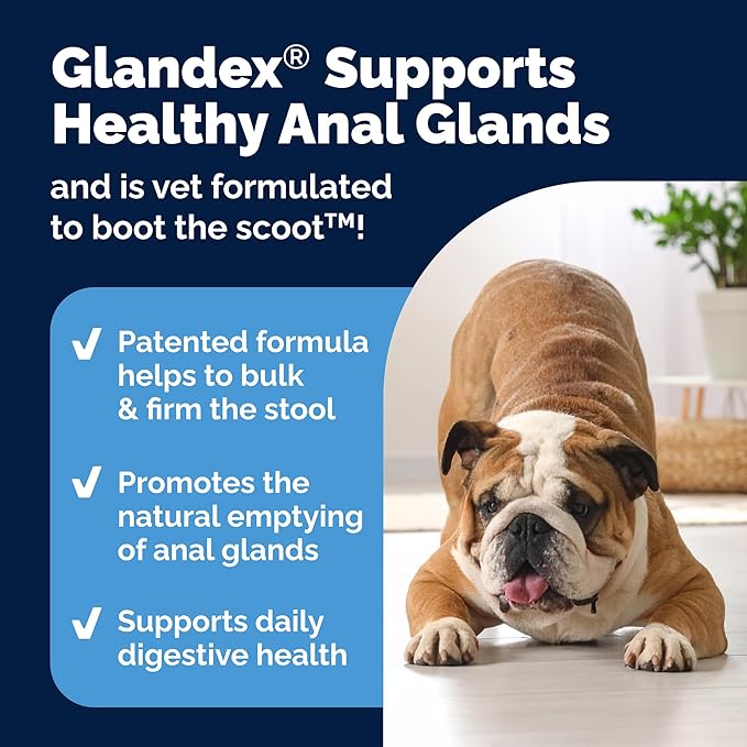 Vetnique Glandex Dog Fiber Supplement Powder for Anal Glands with Pumpkin, Digestive Enzymes & Dog Probiotics for Digestive Health - Vet Recommended - Boot The Scoot (Salmon, 2.5oz Powder)