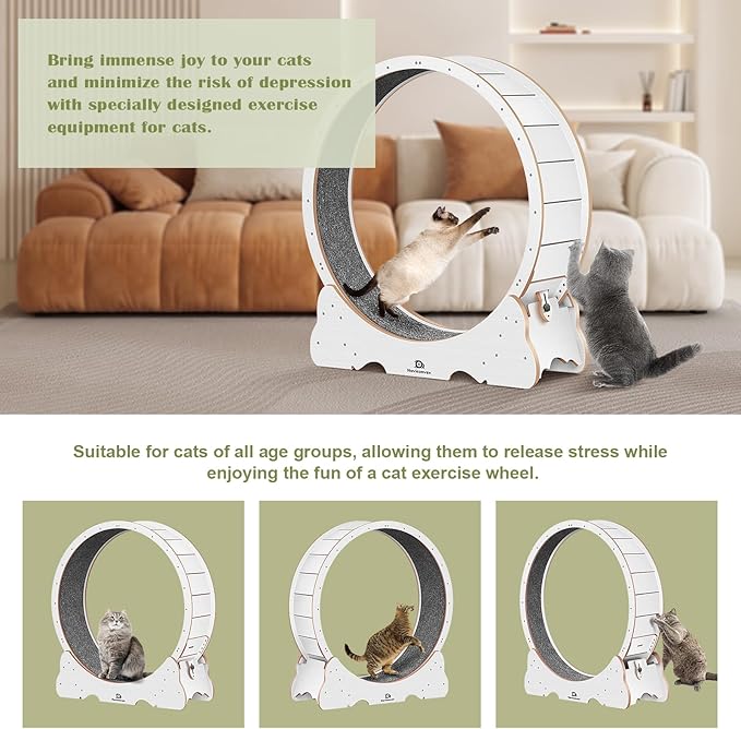 Cat Wheel, 48" XL Large Cats Exercise Running Wheel, Cat Treadmill for Indoor Cats