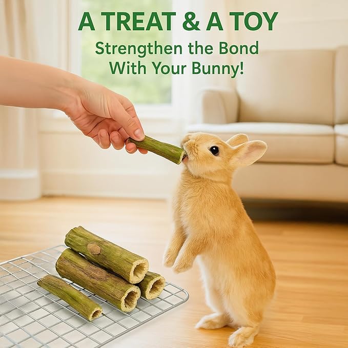 Rabbit Chew Toys – 100% Natural Papaya Branch Sticks for Guinea Pigs, Chinchillas, Small Animals | Safe, Green, High-Fiber Teeth Grinding Treats ((3pc) L:4.3 D:0.79-1.1in)