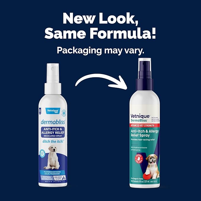 Vetnique Dermabliss Anti Itch Spray for Dogs & Cats with Hydrocortisone for Allergies and Immediate Dog Itching Skin Relief - Fragrance Free with Soothing Oat Extract (8oz)