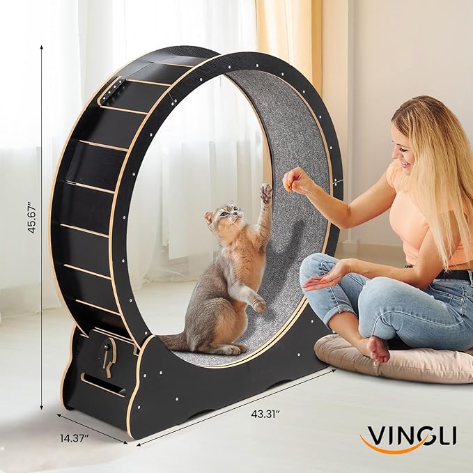 VINGLI Cat Wheel Exerciser for Indoor Cats, 43" Large Cat Exercise Wheel, Silent Kitten Running Wheel with Safety Lock, Black (Extra Large-43.3 inch)