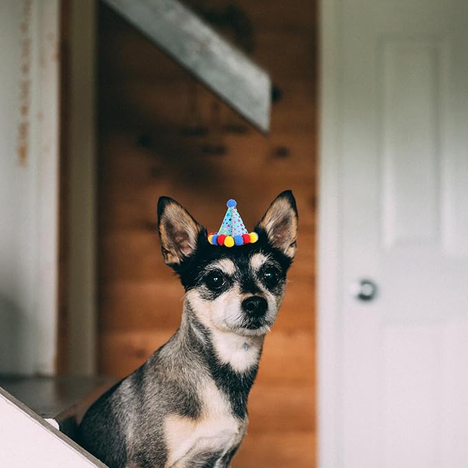 Uonlytech Dog Birthday Scarf and Hat Set for Pets, Blue Cotton Triangle Bandana and Party Hat, Birthday Party Decoration Supplies for Dogs and Puppies
