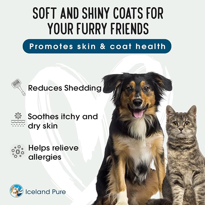Sardine Anchovy Oil | 1296mg Omega | Unscented Pharmaceutical Grade | For Dogs & Cats | BPA-Free Brushed Aluminum Epoxy Coated Bottle with Pump 17 OZ