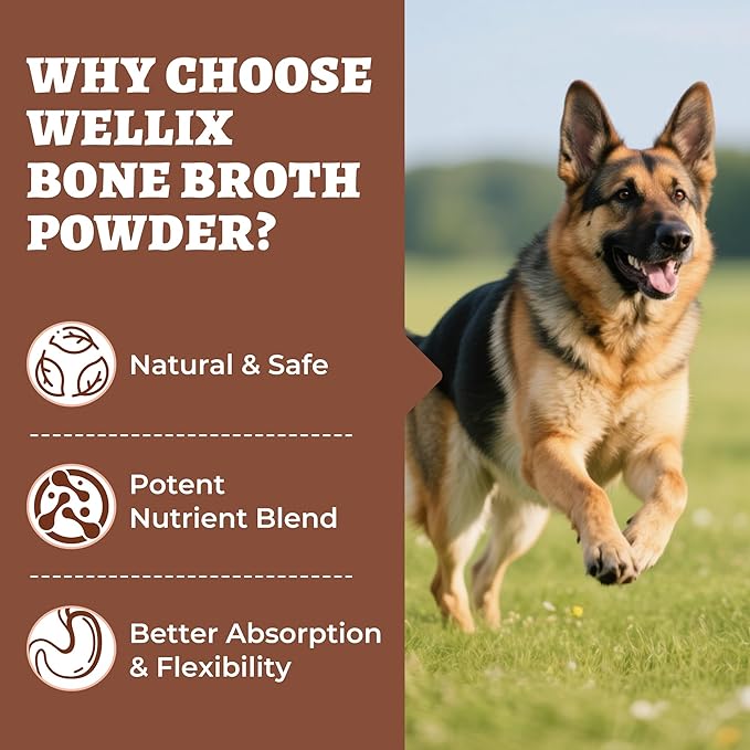 8.8oz Wellix Bone Broth Powder for Dogs & Cats - Dog Food Toppers with Glucosamine Chondroitin Tumeric Collagen for Dogs Joints Strength & Gut Health