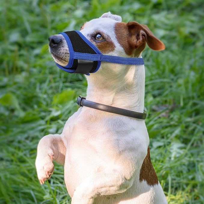 Kichvoe Adjustable Blue Dog Muzzle Anti-Biting Puppy Mouth Cover 14-20cm Breathable Walking Mask for Medium Dogs Pet Supplies
