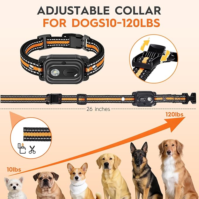 Dog Shock Collar with Remote 3300FT for 3 Dogs, IPX7 Waterproof Rechargeable Training Collar with Beep, Vibration & Safety Shock, Shock Collar for Large Dogs, Small Dogs, Medium Dogs (10-120 lbs)