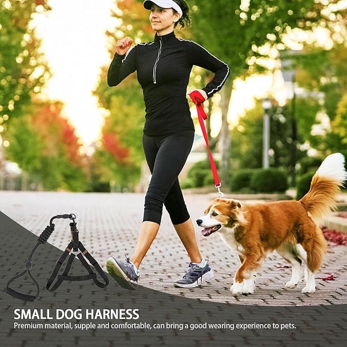 Dog Harness Leash Set with Adjustable Vest and 1.0x120cm Round Rope Leash, Reflective Pet Walking Supplies for Small to Medium Dogs Outdoor Use