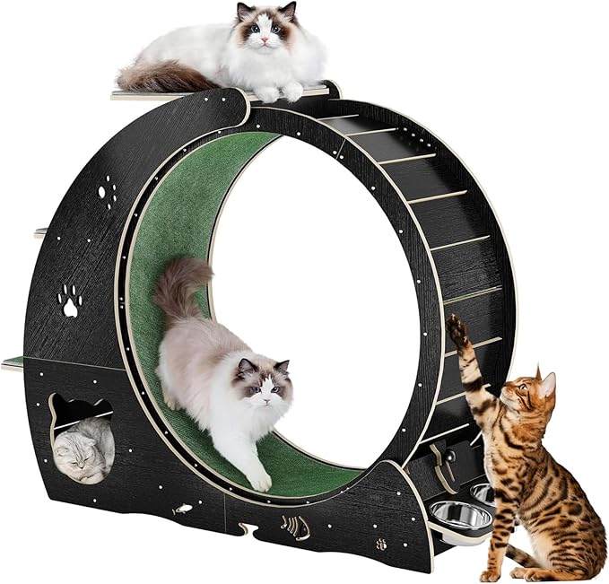 Cat Wheels for Indoor Cats, 48" Large Treadmill Wheel for Indoor Cats with Bowls, Scratch Post, 3-Level Jumping Tower, Cat Exercise Wheel for Running Walking Training