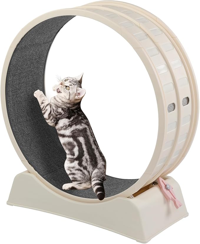 VINGLI Cat Exercise Wheel, 31" Cat Treadmill for Indoor Cats, Cat Running Wheel with Carpeted Runway for Weight Loss & Daily Exercise (Off-White)