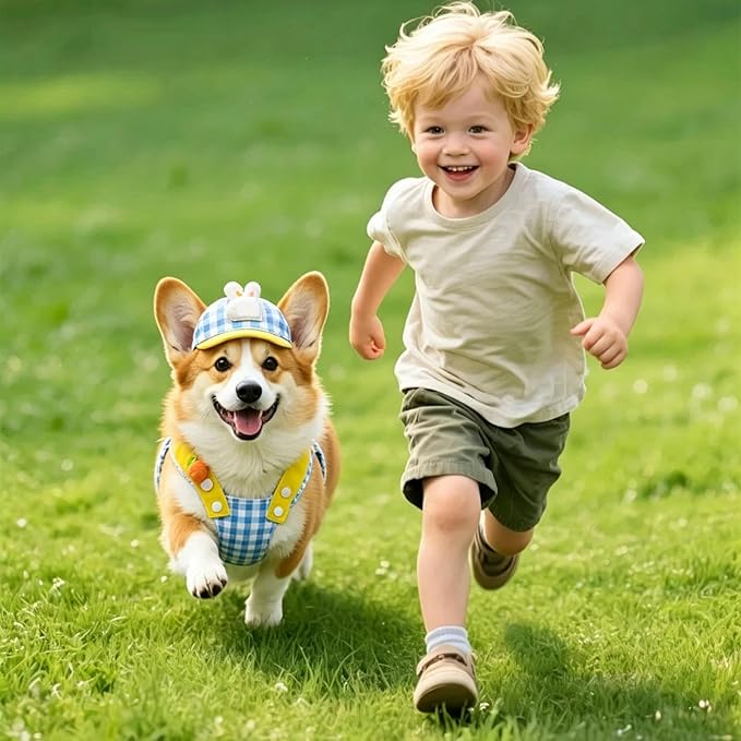 Genérico Pet Harness, Pet Accessories with Hat | Dog Harness with Rope Set - for Puppies Daily Outdoor Activities Including Shopping Running and Hiking