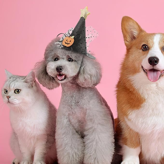 UPKOCH 2pcs Halloween Pet Hats Adjustable Party Caps for Dogs and Cats, Pumpkin Design, Purple Black, Halloween Costume Accessories for Pet Supplies