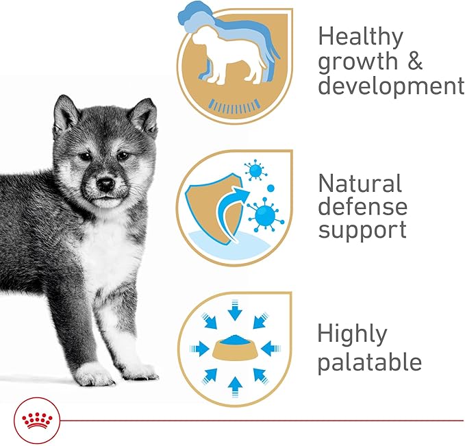 Royal Canin Canine Health Nutrition Puppy Canned Dog Food, 13.5 oz (Pack of 12)