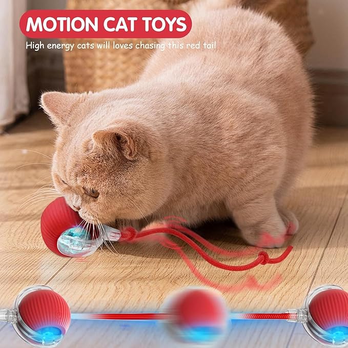360°Interactive Rolling Cat Ball - Automatic Chew Toy for Active Cats & Small Dogs, Smart Fast Rolling Pet Toy (Green)