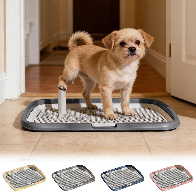 Dog Potty Tray with Guide Pillar, Indoor Pet Pee Pad Holder Duty, Removable Washable Puppy Training Toilet for Housebreaking Supplies Small Medium Dogs (Blue-M)