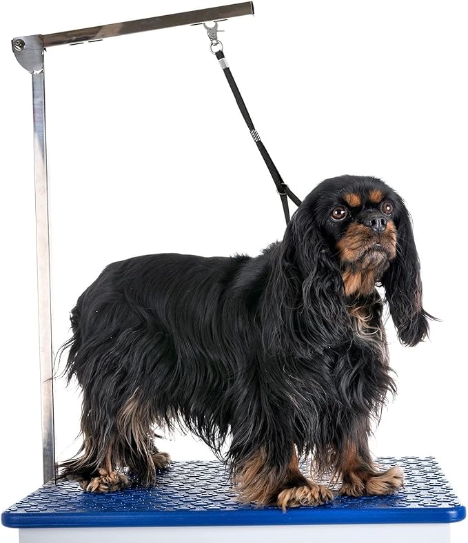 Pet Dog Grooming Loop, Nylon Restraint Noose Adjustable Fixed Dog Cat Safety Tether Straps Dog Grooming Supplies for Pet Grooming Table Bathtub - 6 Pack / 6 Color