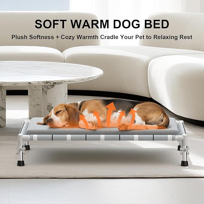 Elevated Raised Outdoor Dog Bed - Cooling Lifted Outside Dogs Bed with Cushion Mat Dog Hammock Bed with Stainless Steel Frame Portable Puppy Pet Bed for Indoor & Outdoor ((M-): 34" x 20" x 8")