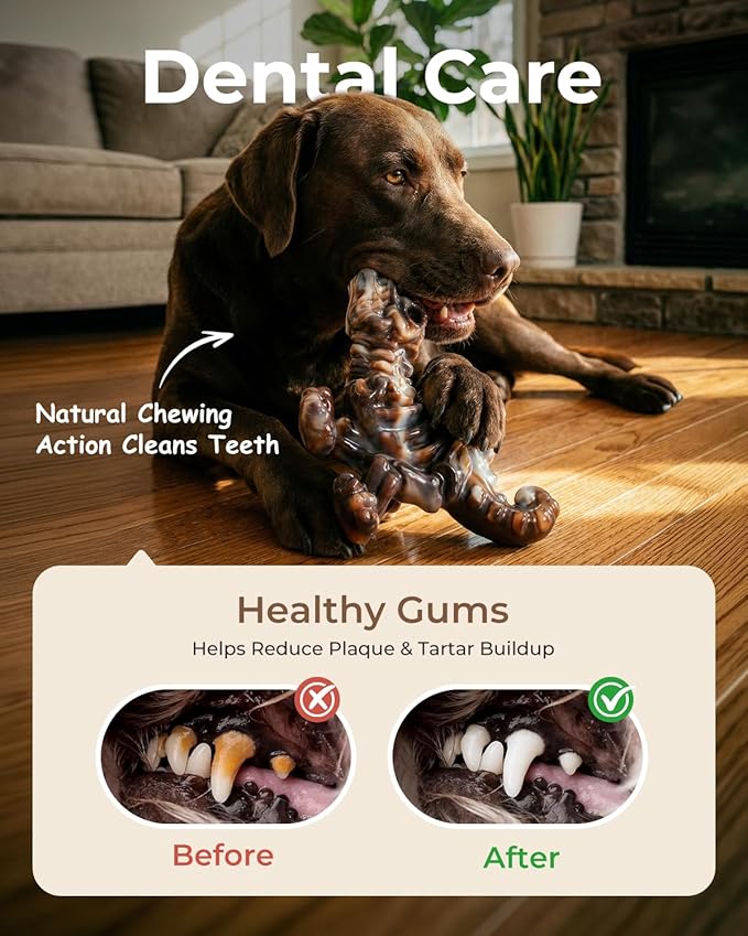 2 Pack Indestructible Dog Toys for Aggressive Chewers: Ultra-Dense Nylon, Bacon Flavor Chew Bones, Heavy Duty Tough Toys for Large Dogs