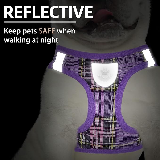 PUPTECK Adjustable Dog Harness Collar and Leash Set Step in No Pull Pet Harness for Small Medium Dogs Puppy and Cats Outdoor Walking Running, Soft Mesh Padded Reflective Vest Harnesses, Purple XS