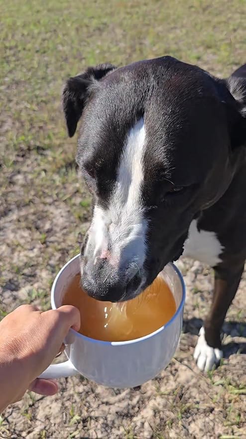 Hydration Mix, Feed Topper and Low Calorie Treat (Basic Batch)