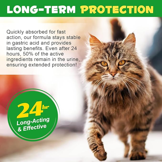 Antibiotics for Cats, Natural Antibiotic Drops Supports Immune & Allergy & Itch Relief, Vitamins Herbal Supplement, Pet Supplies Cats UTI Antibiotics, Chicken Flavor - 2 fl oz / 60ml