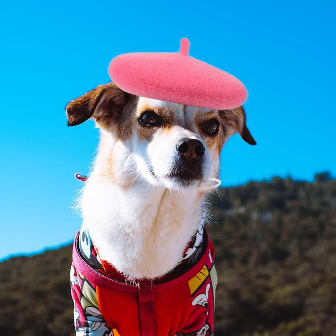 UPKOCH Pet Beret Hat for Dogs and Cats, Small Rose Party Headwear, Cute Puppy and Kitten Photo Costume Accessory for Pet Supplies