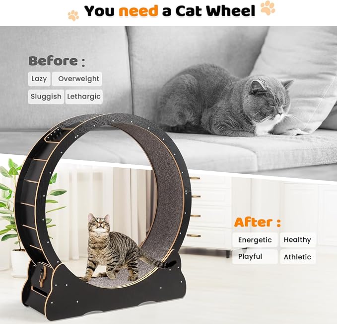 VINGLI Cat Wheel Exerciser for Indoor Cats, 39" Large Cat Exercise Wheel, Silent Kitten Running Wheel with Safety Lock, Black (Large-39.4 inch)