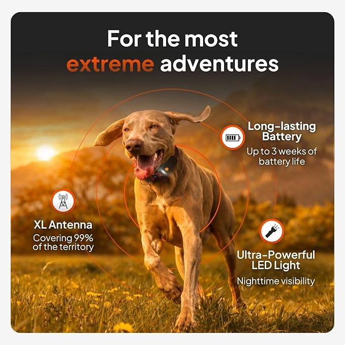 Weenect Dog XT - New GPS Collar for Dogs | XL Antenna | Waterproof | Ultra-Durable Integrated Julius-K9 Collar | Subscription Required
