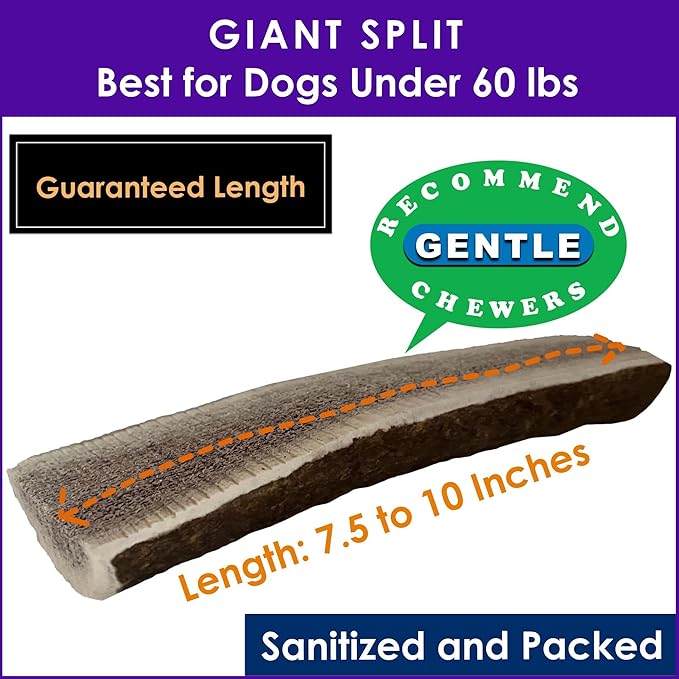 3‑Pack Giant Split Elk Antler Dog Chews for Medium & Large Dogs Under 60 lbs – 7.5‑10 Inch Center‑Split, Premium Grade‑A, Naturally Shed, USA‑Sourced