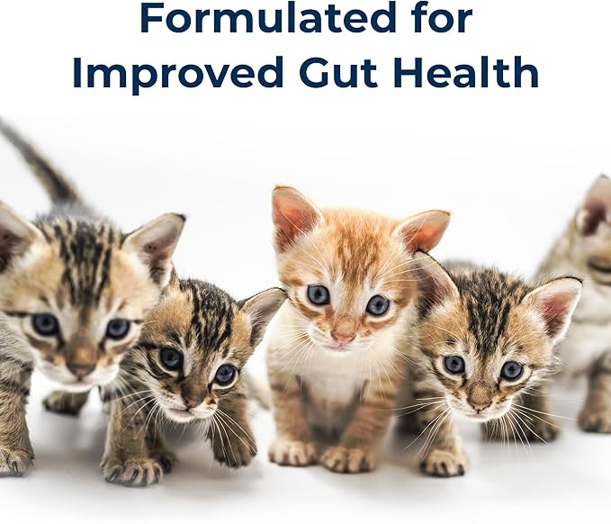 PetAg KMR Goat’s Milk Kitten Milk Replacer Liquid - 16 oz - Resealable - Ready-to-Feed Kitten Formula with Vitamins for Newborn Kittens to 1 year - Easy to Digest - Storable & Portable