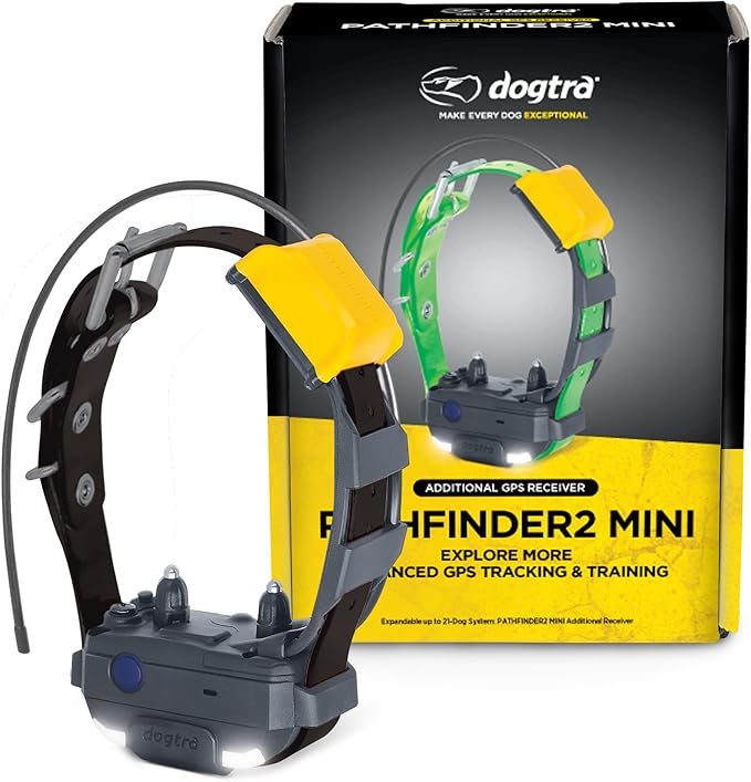Dogtra Pathfinder2 Mini GPS Tracker eCollar + 2 Add-on Receivers (Green & Black) | 4 Mile, LED, Waterproof, Free App, No Fees, Smartwatch Control, Satellite Tracking, Multi Dogs, Smartphone Required
